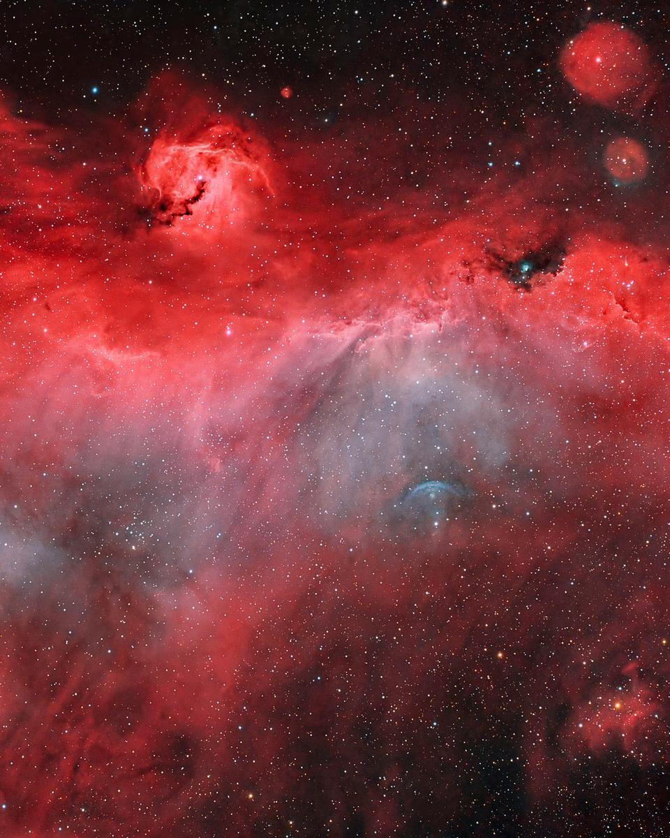 The Seagull Nebula