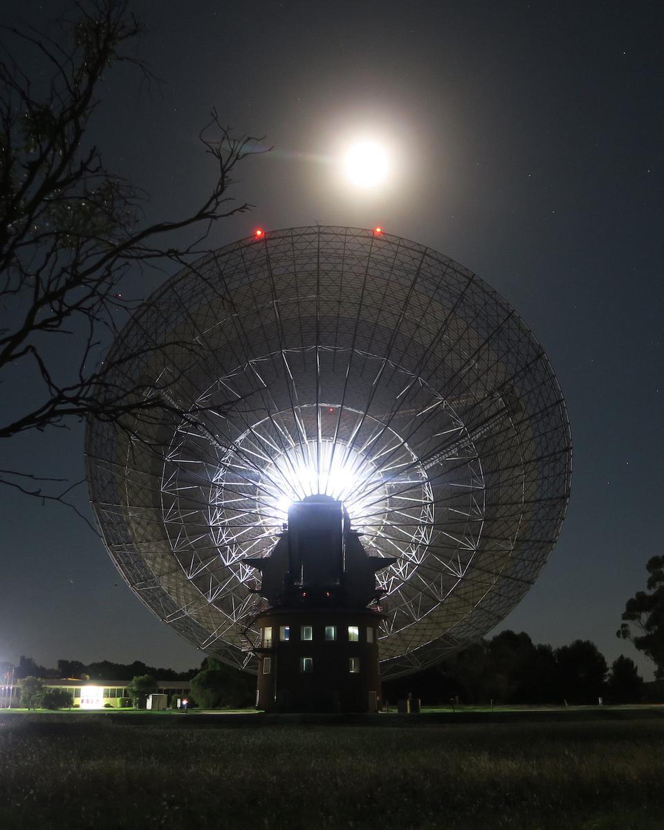 Odysseus and The Dish