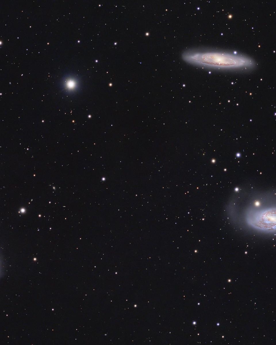 The Leo Trio