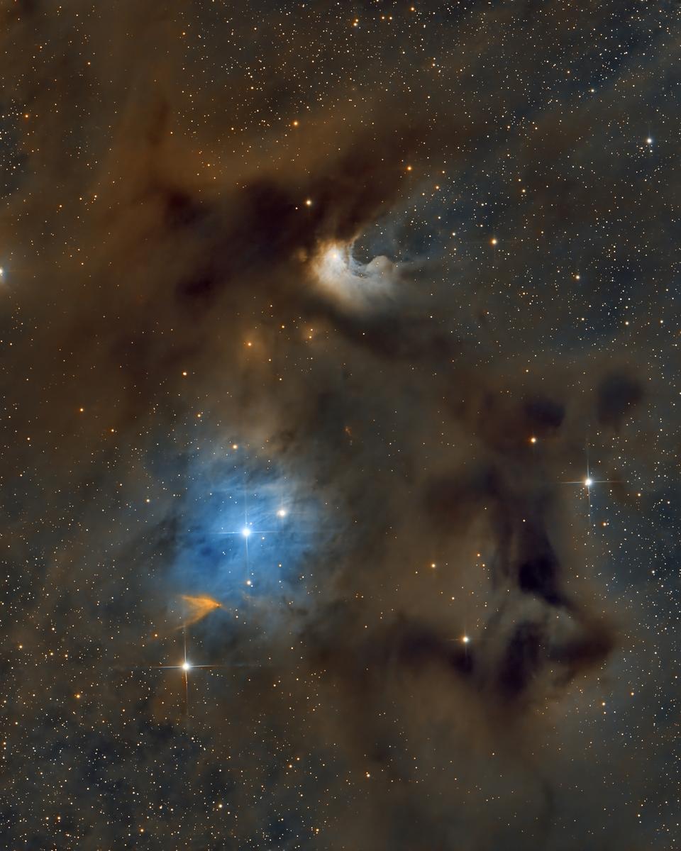 Chamaeleon I Molecular Cloud