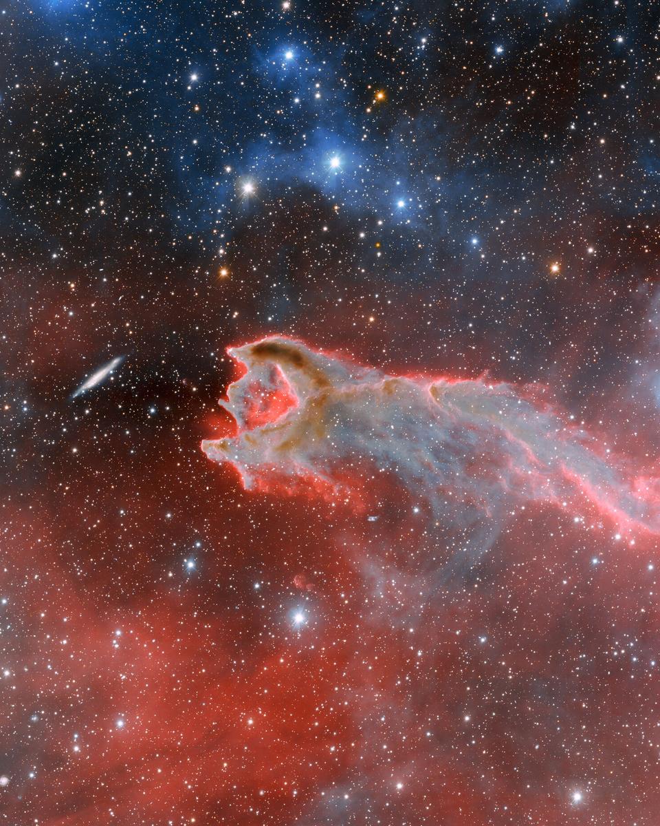 CG4: The Globule and the Galaxy