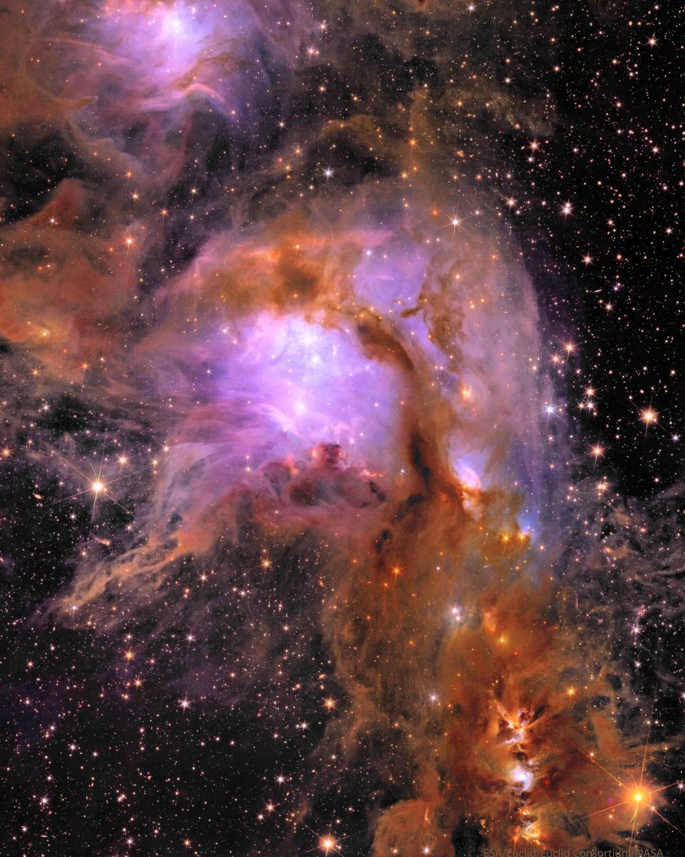 M78 from the Euclid Space Telescope
