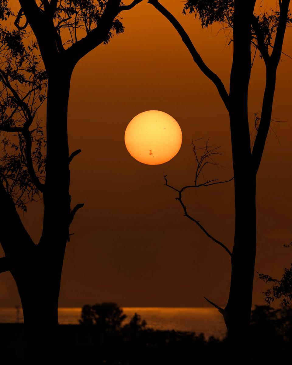 AR 3664 on a Setting Sun