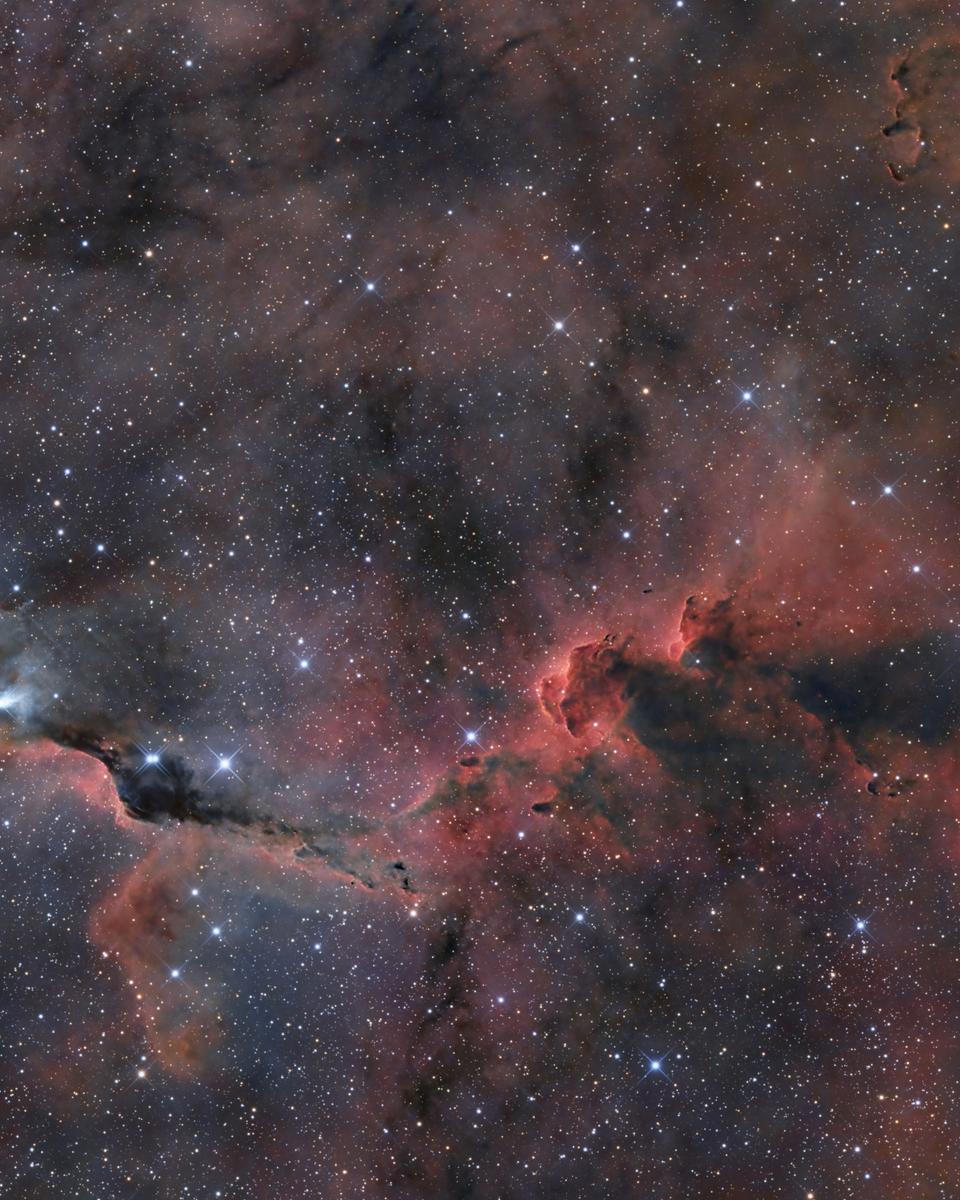 The Elephant's Trunk in Cepheus