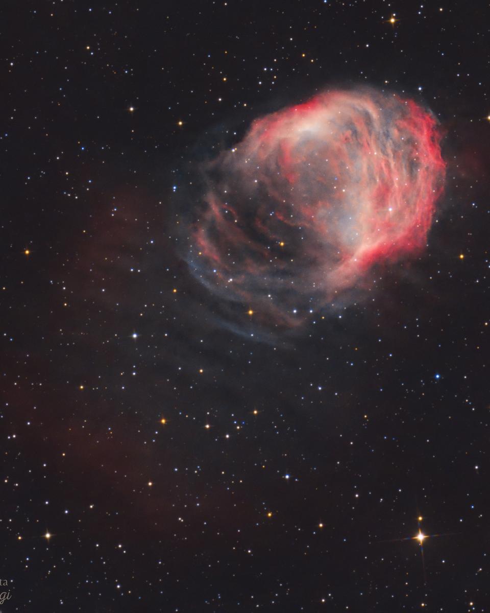 The Medusa Nebula