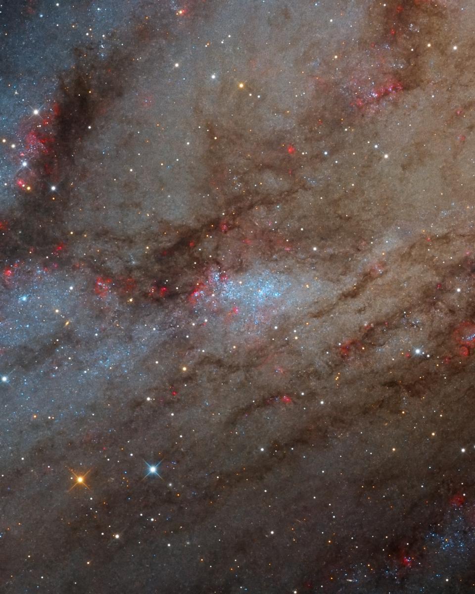 NGC 206 and the Star Clouds of Andromeda