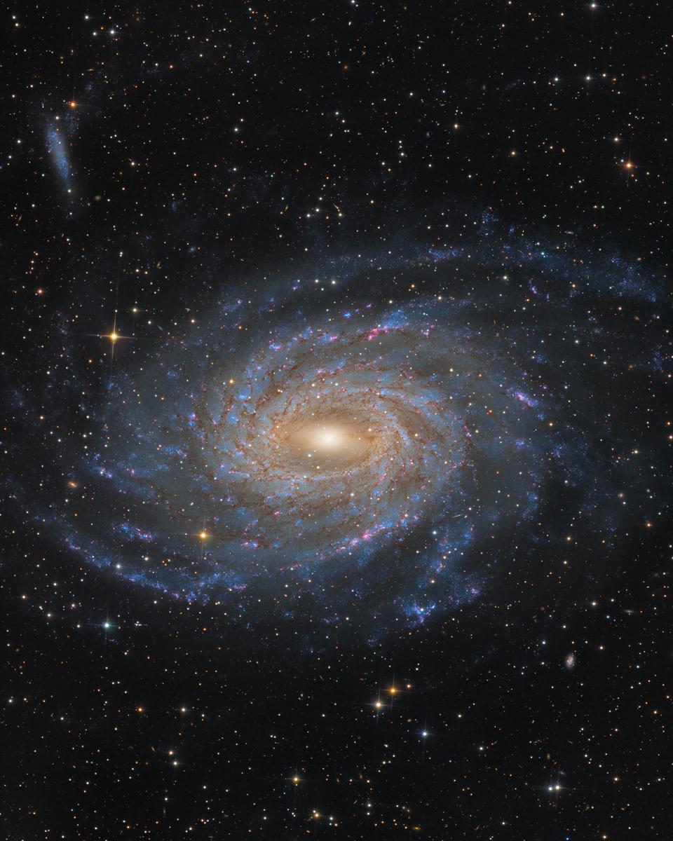 Spiral Galaxy NGC 6744