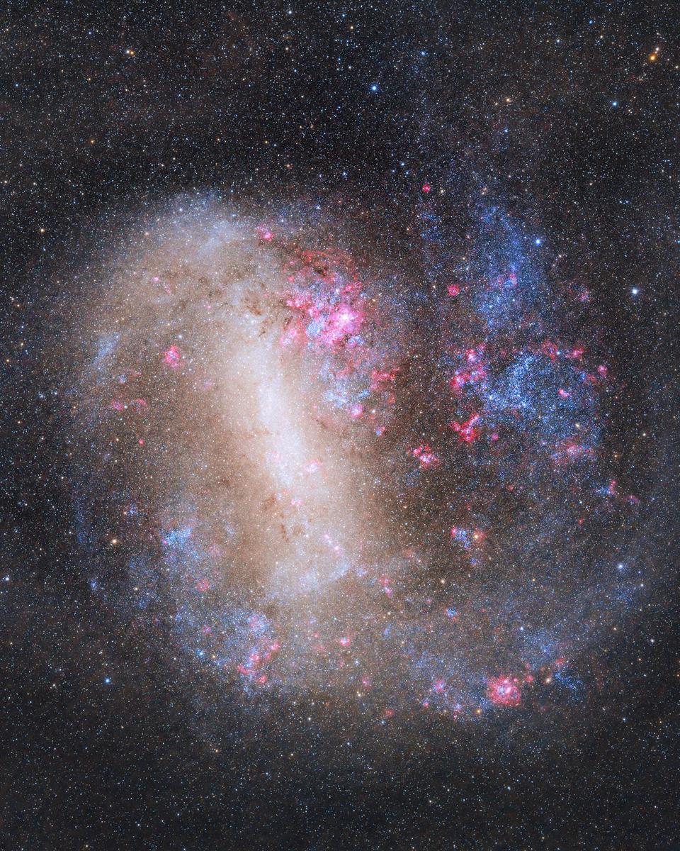 The Large Magellanic Cloud Galaxy