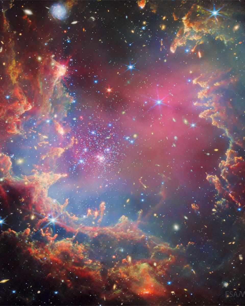 NGC 602: Stars Versus Pillars from Webb