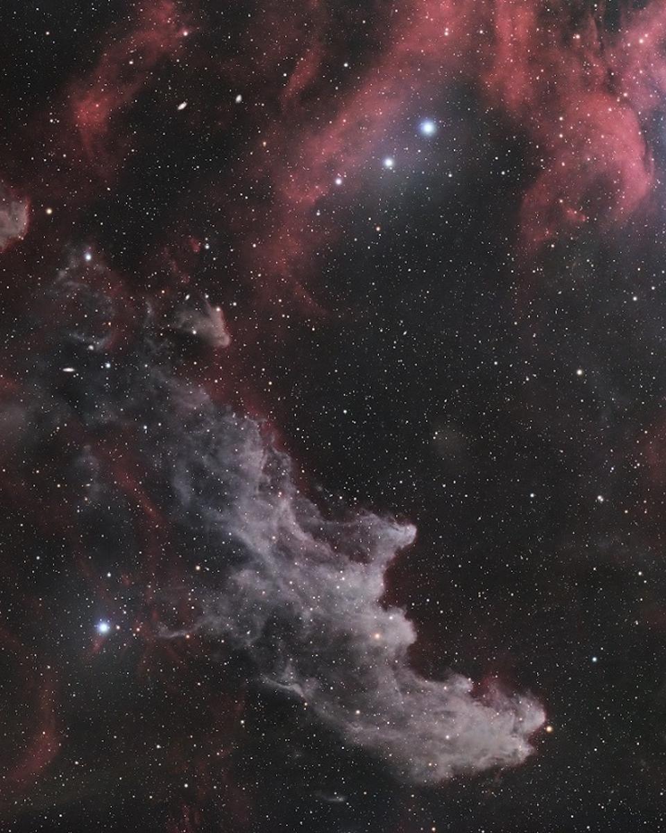 Rigel and the Witch Head Nebula