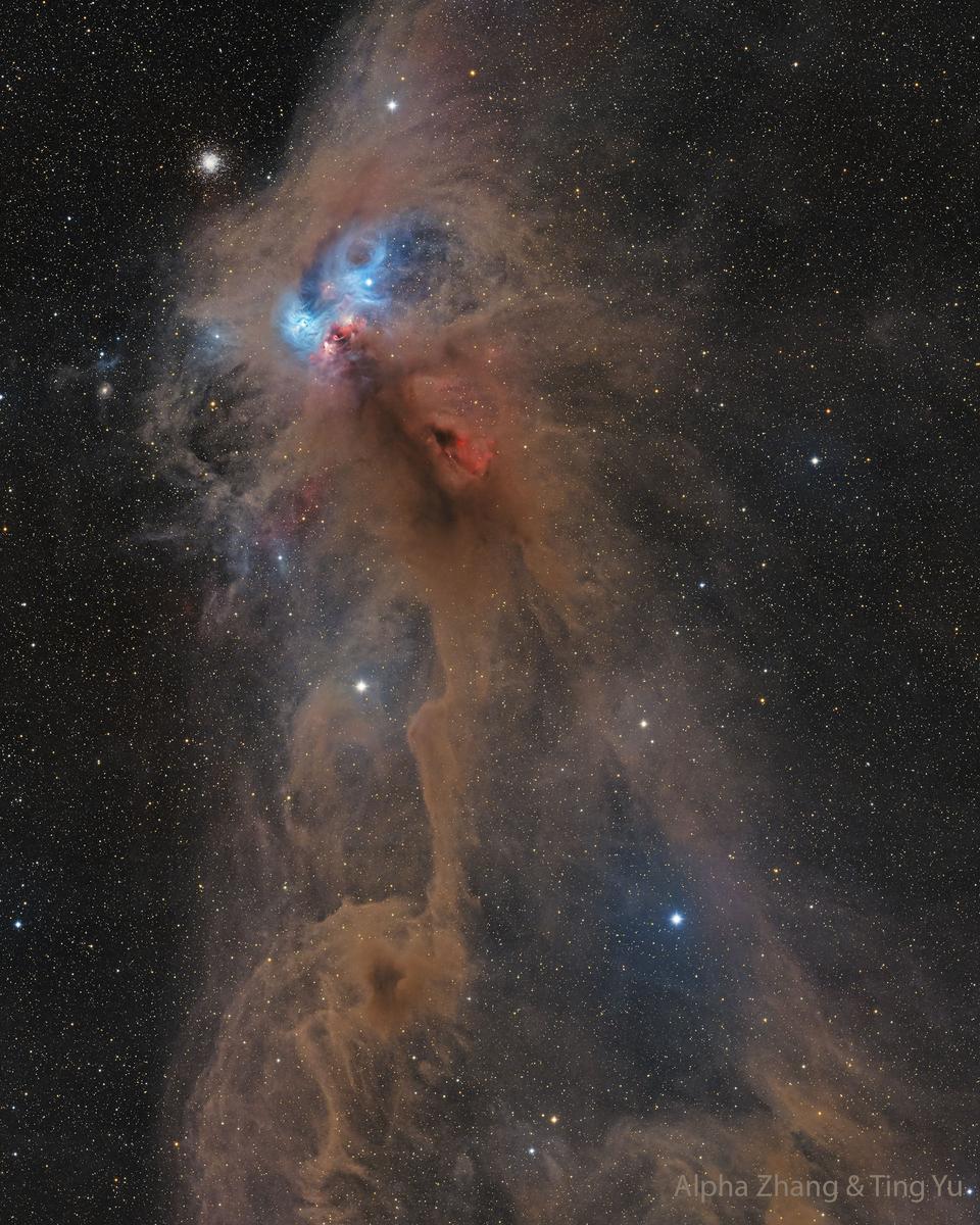 NGC 6727: The Rampaging Baboon Nebula