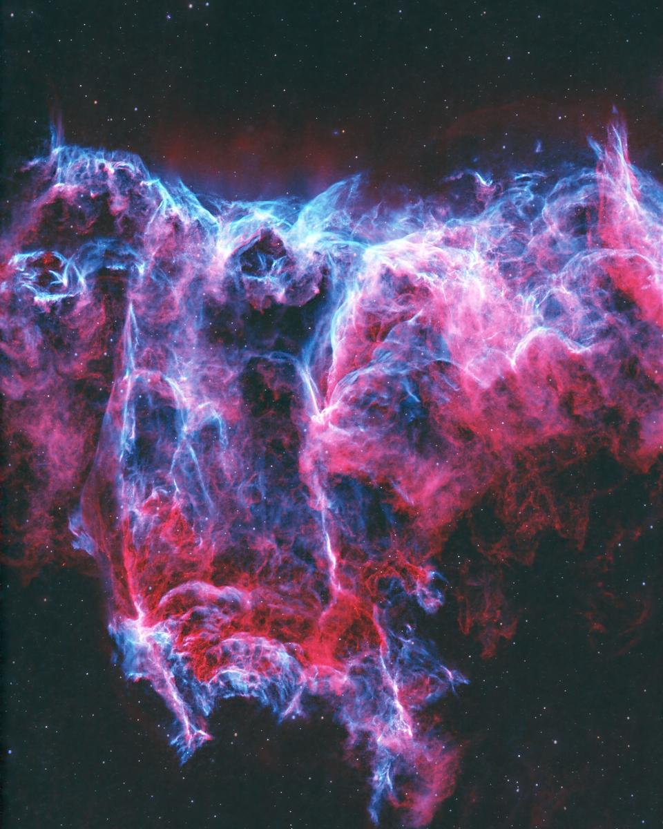 NGC 6995: The Bat Nebula