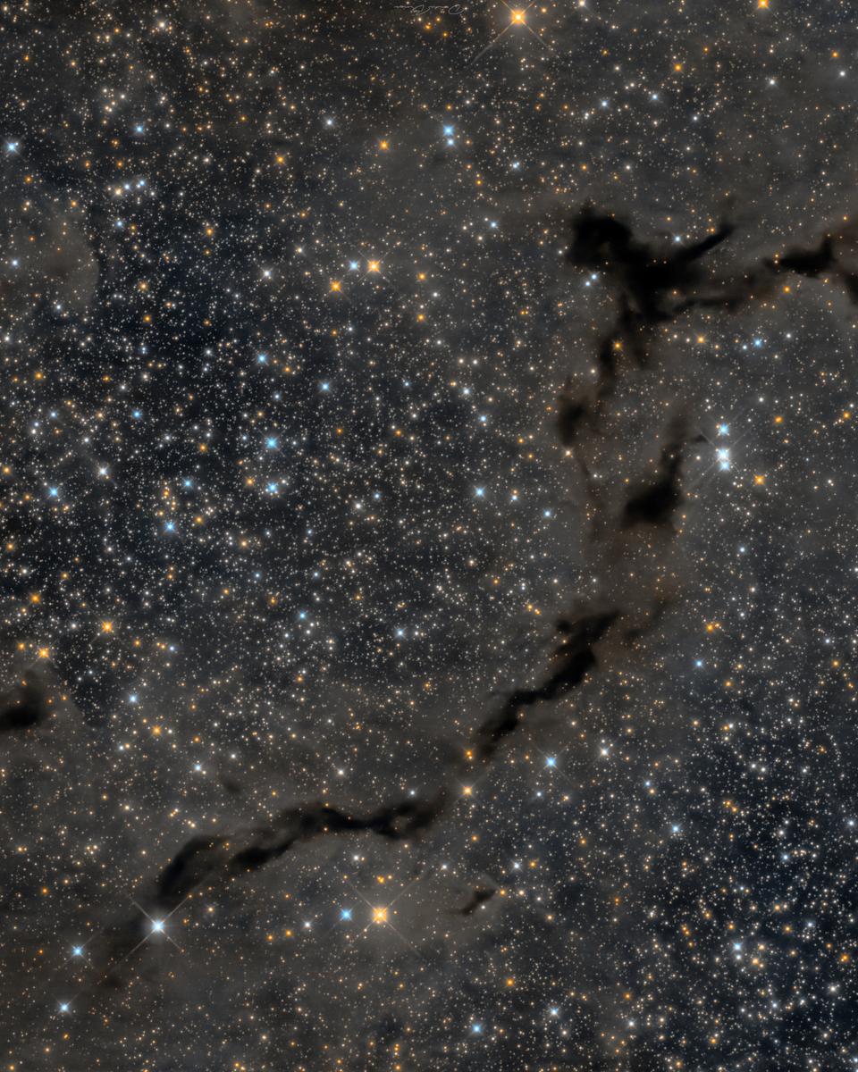 The Dark Seahorse of Cepheus