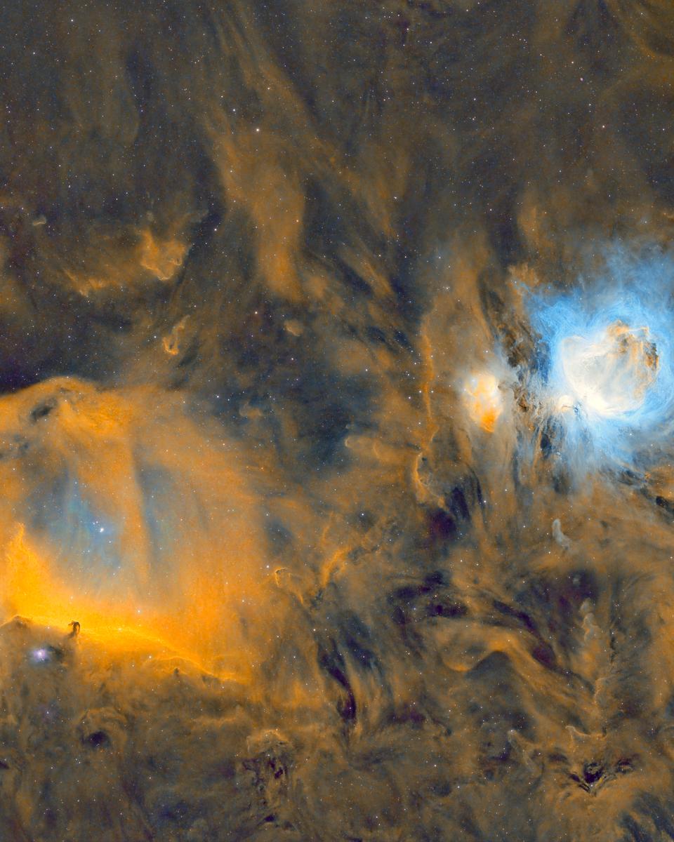 Horsehead and Orion Nebulas