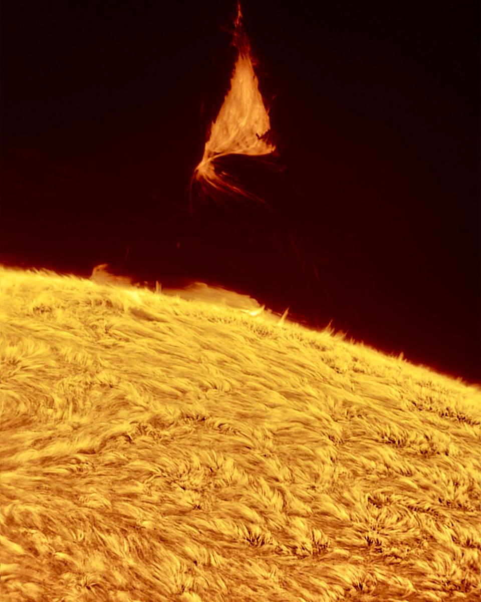 A Triangular Prominence Hovers Over the Sun