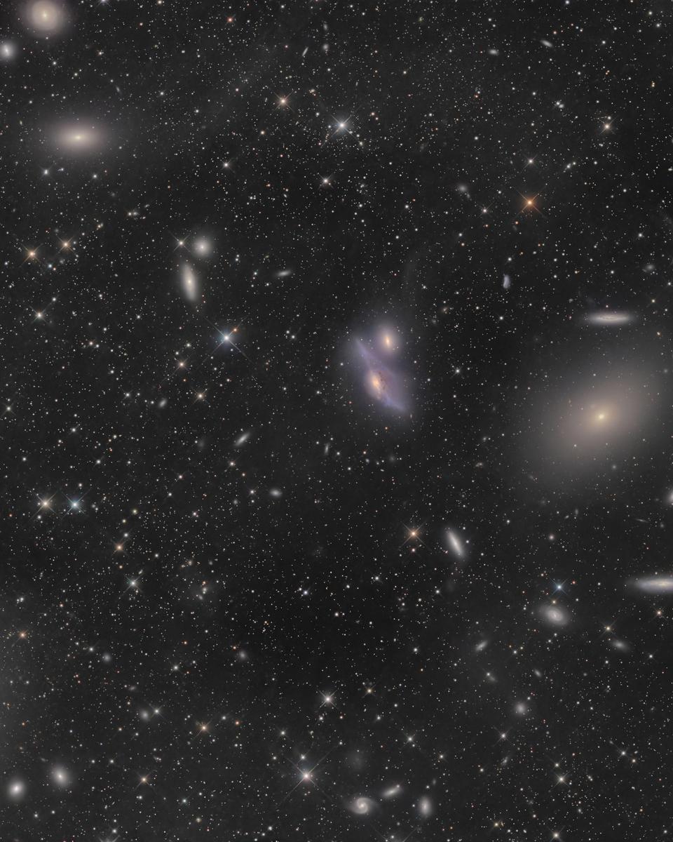 Virgo Cluster Galaxies