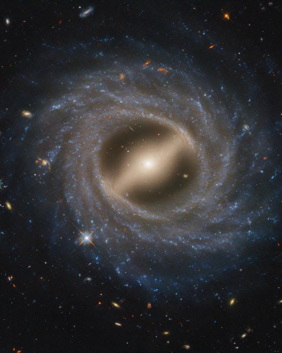 Barred Spiral Galaxy NGC 5335