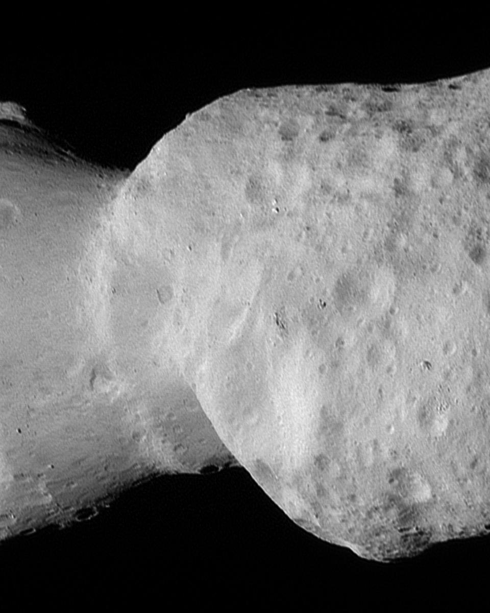 Asteroid Donaldjohanson