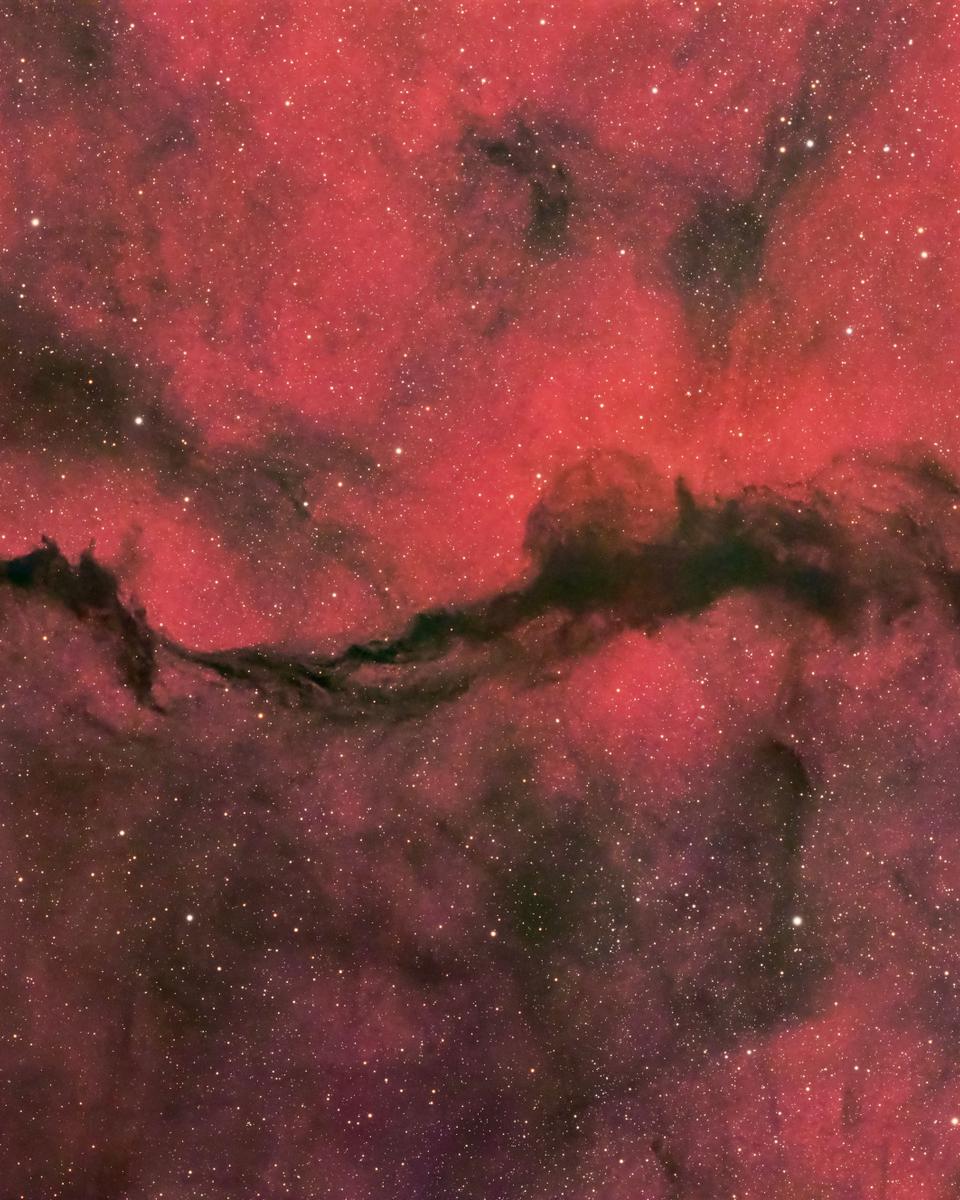 A Dark Veil in Ophiuchus