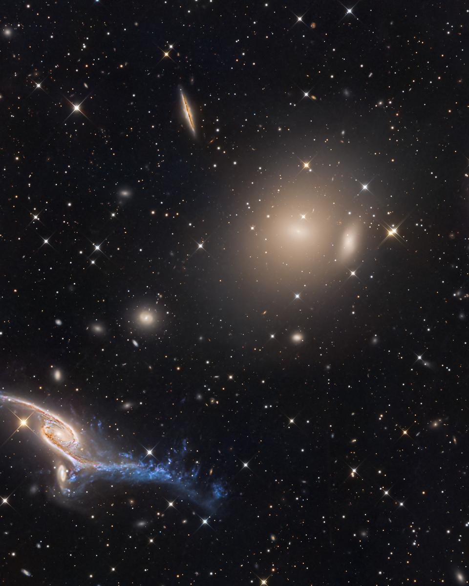 Giant Galaxies in Pavo