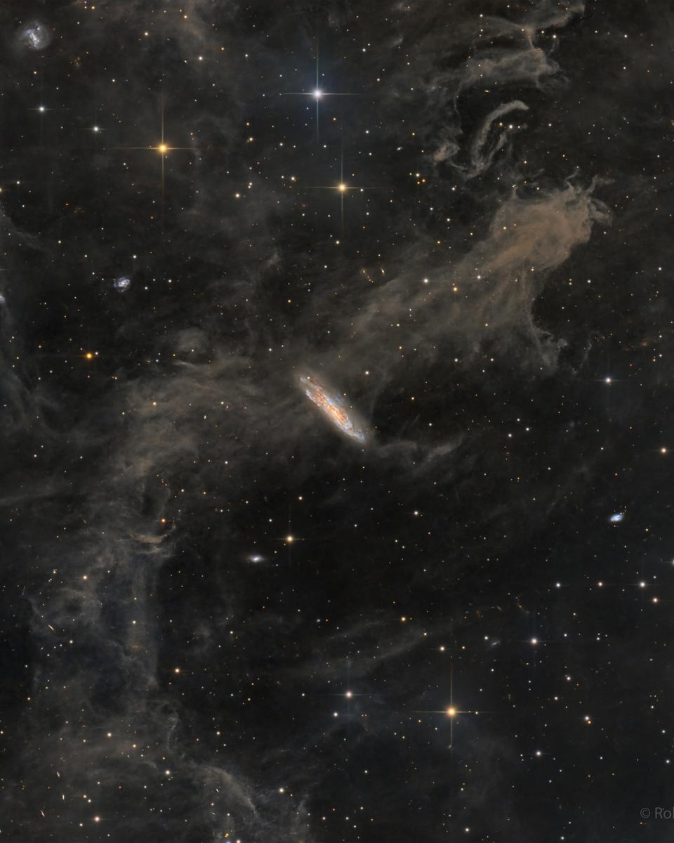 Galaxies, Stars, and Dust