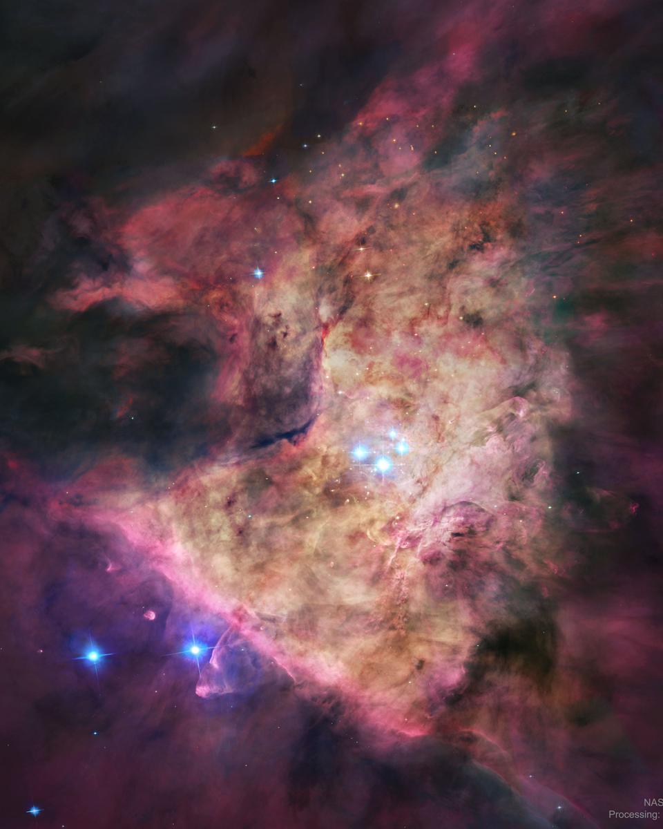 Trapezium: In the Heart of Orion