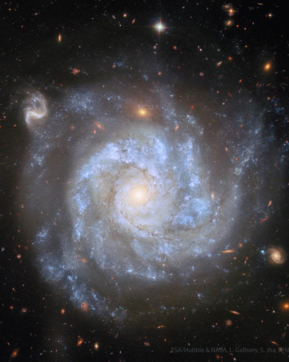 NGC 1309: A Useful Spiral Galaxy