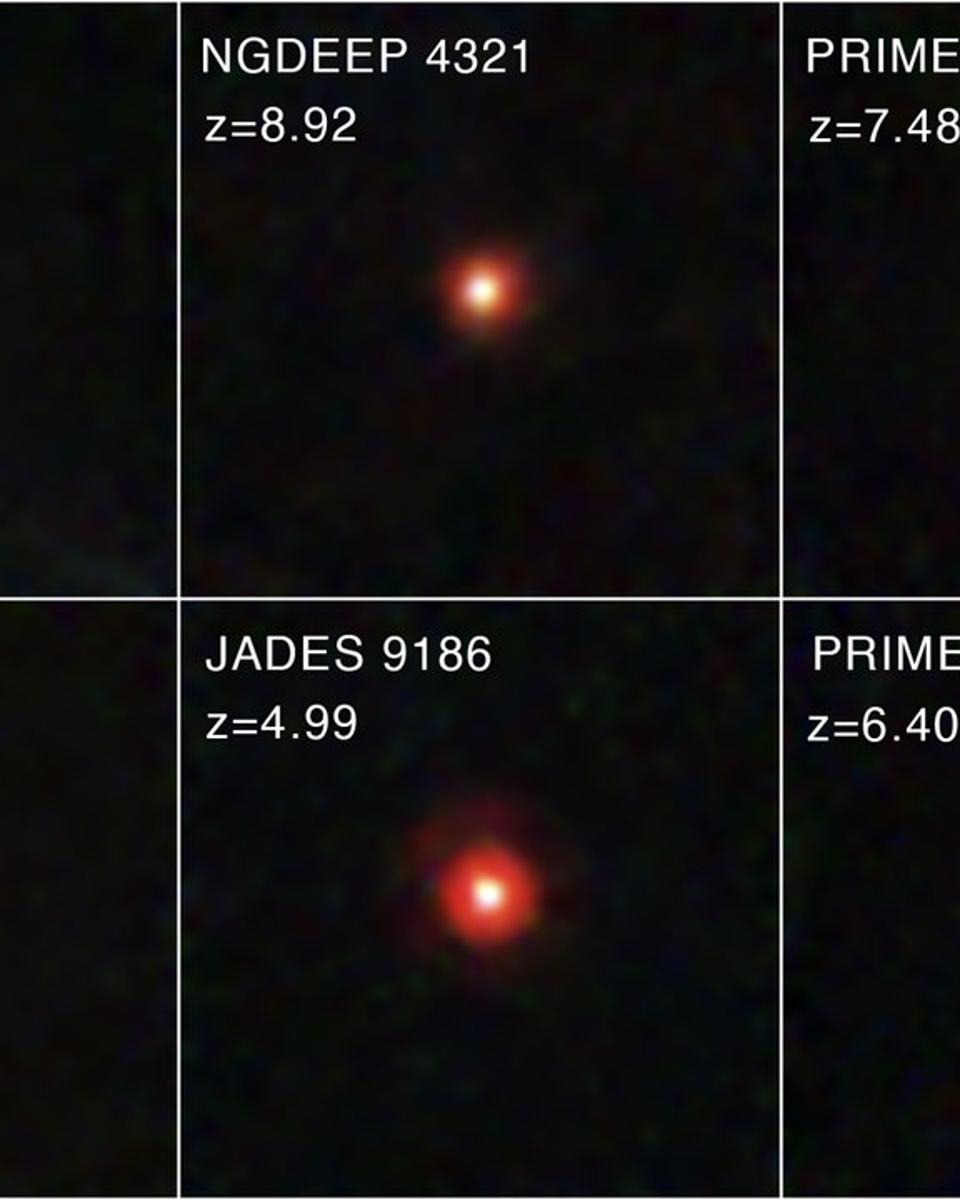 Mystery: Little Red Dots in the Early Universe