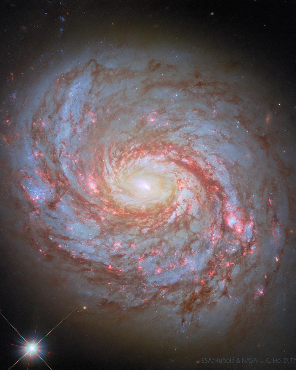 M77: Spiral Galaxy with an Active Center