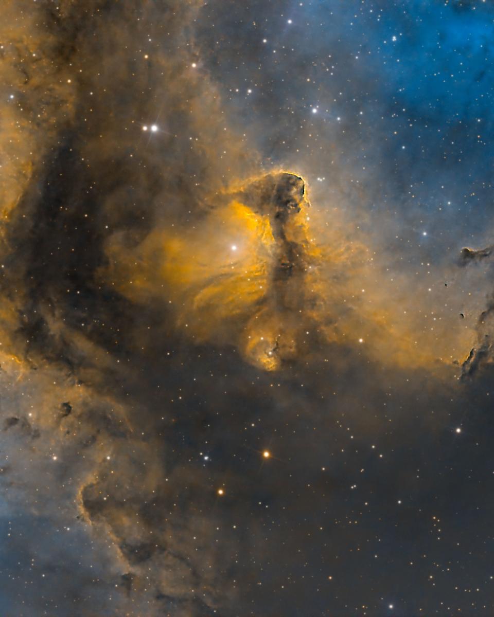 The Heart of the Soul Nebula