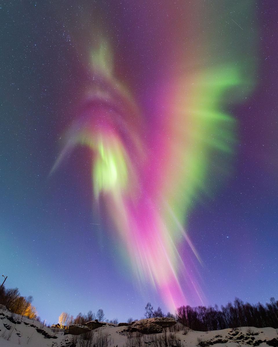 Auroral Hummingbird over Norway