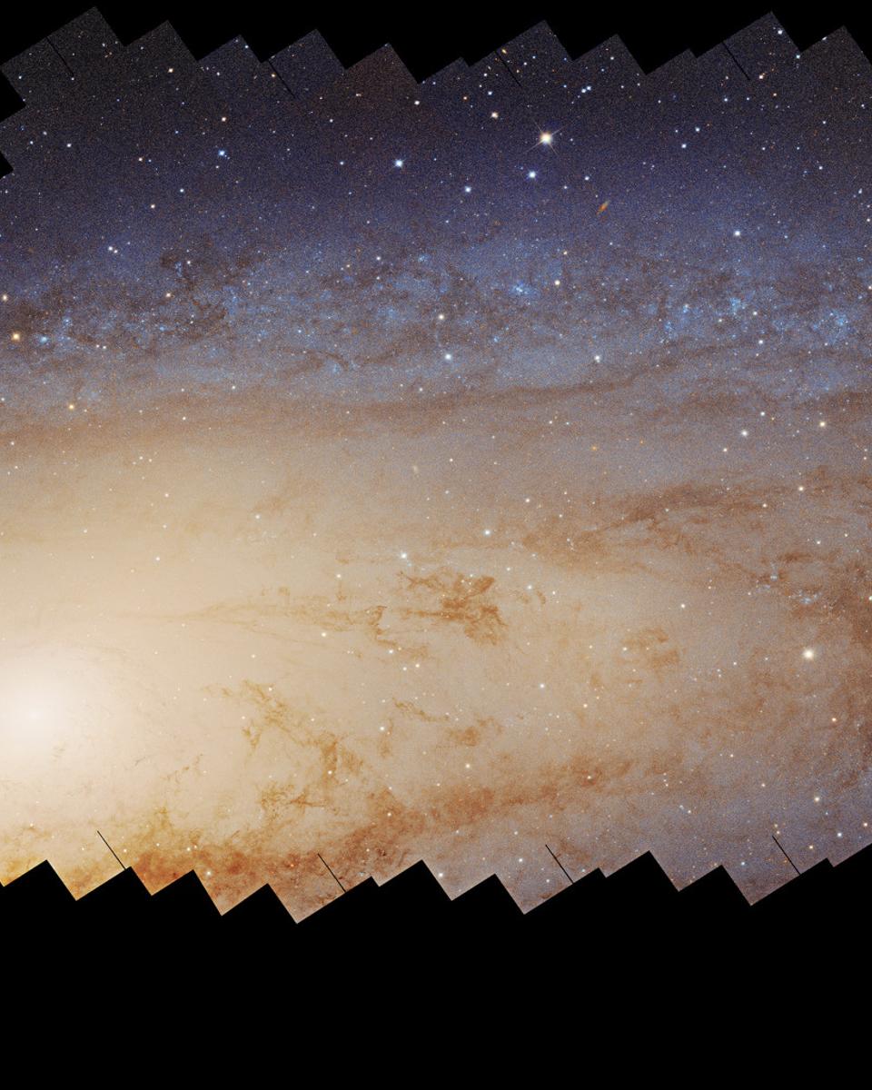 Hubble's Andromeda Galaxy Mosaic