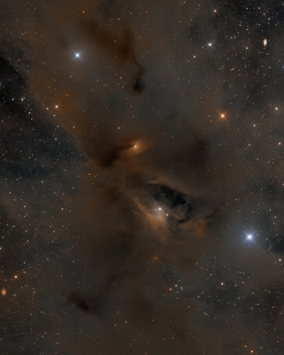 Young Stars, Dark Nebulae