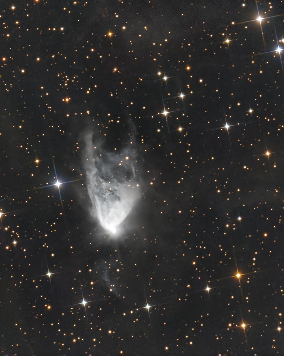The Variable Nebula NGC 2261