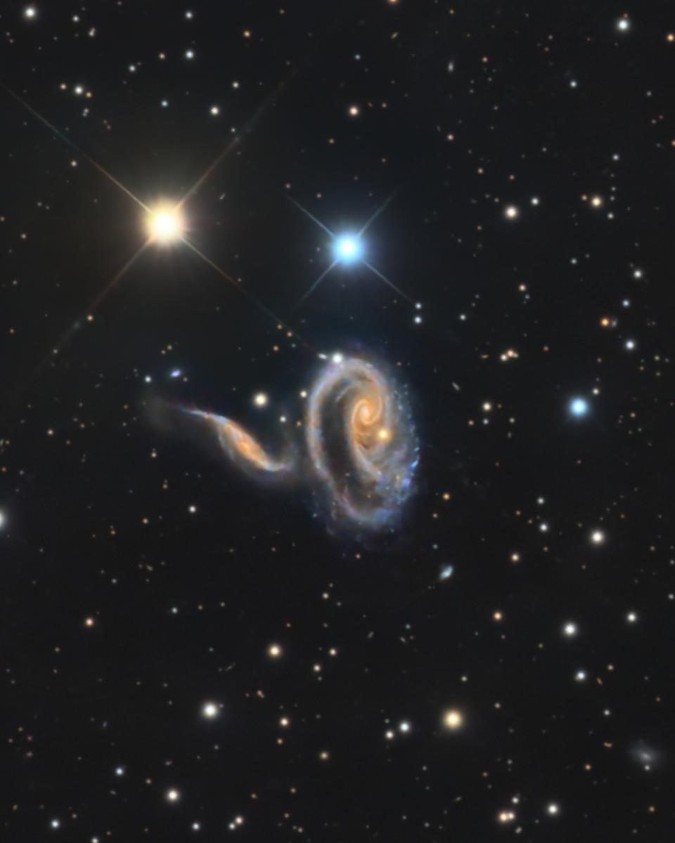 Peculiar Galaxies of Arp 273