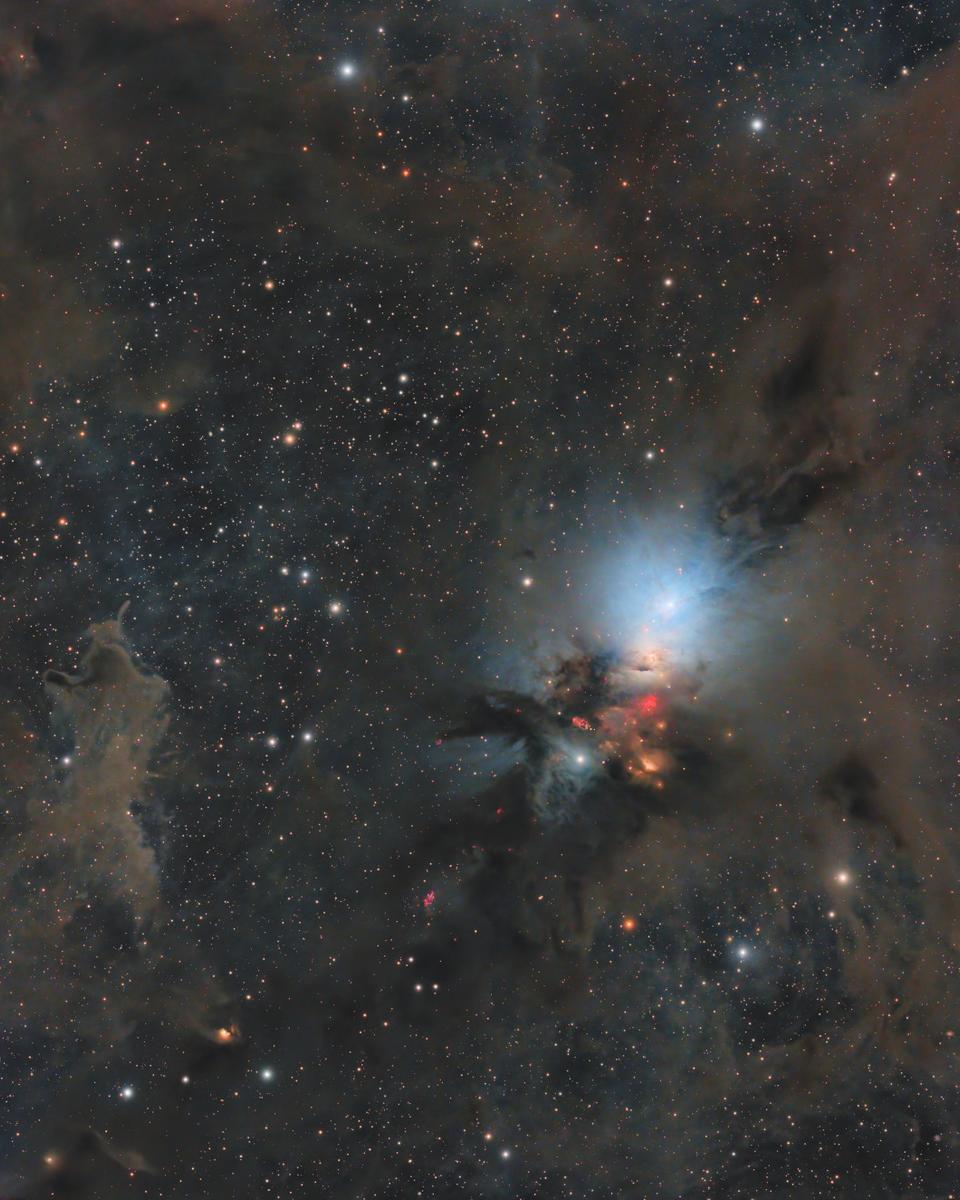 Stardust in the Perseus Molecular Cloud