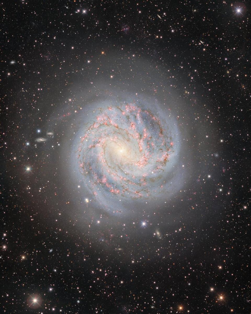 M83: The Southern Pinwheel