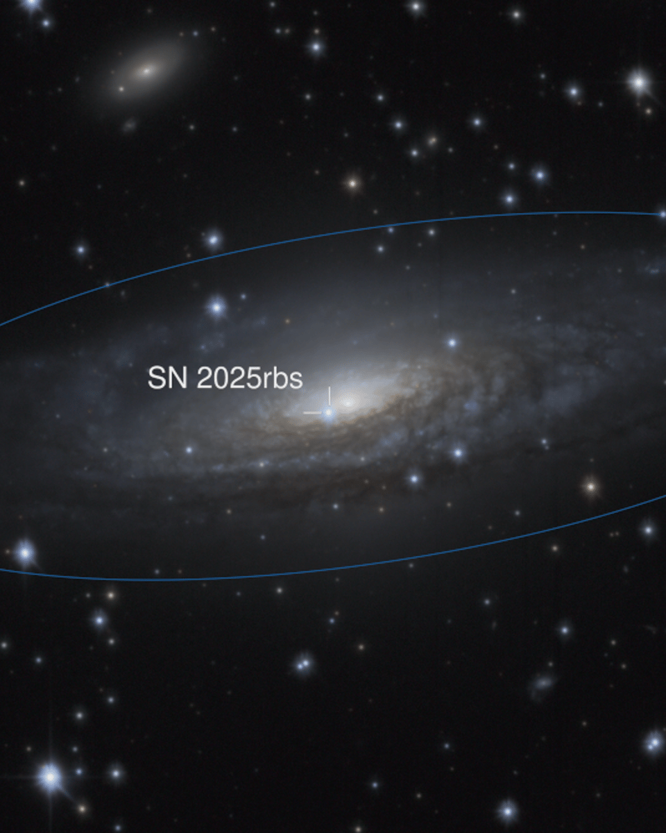 Supernova 2025rbs in NGC 7331