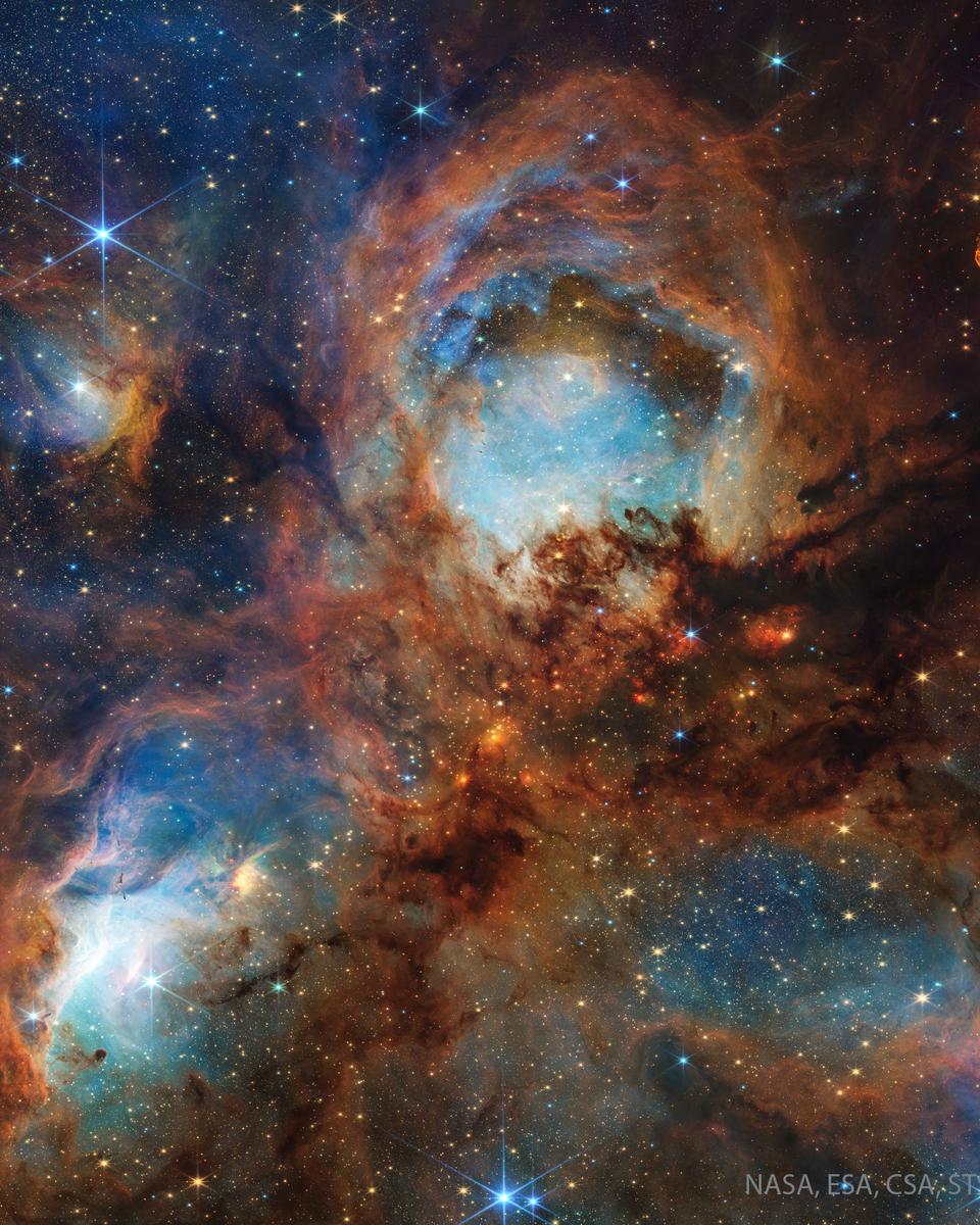 Cat's Paw Nebula from Webb Space Telescope
