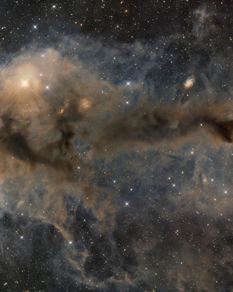 Lynds Dark Nebula 1251