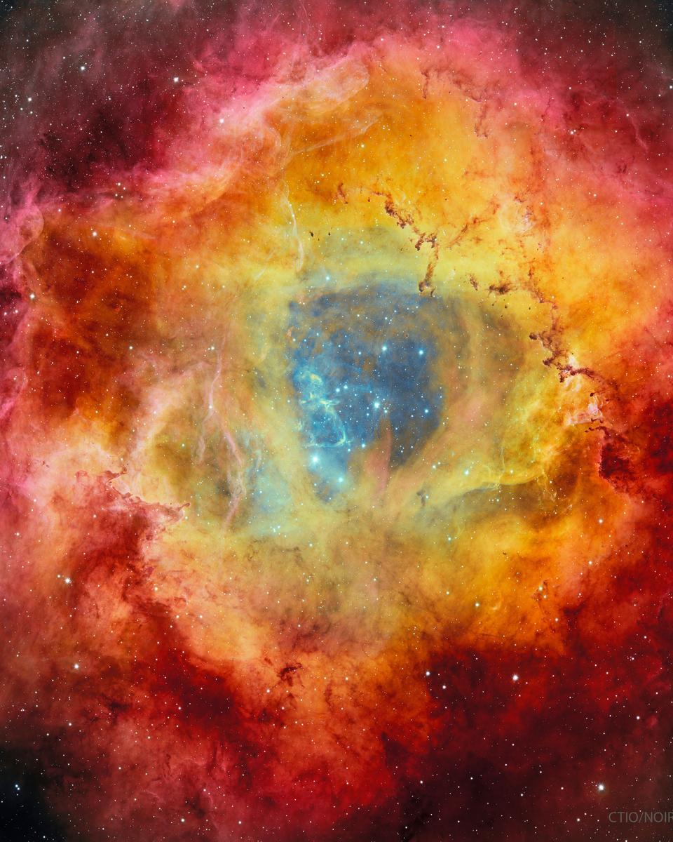 The Rosette Nebula from DECam