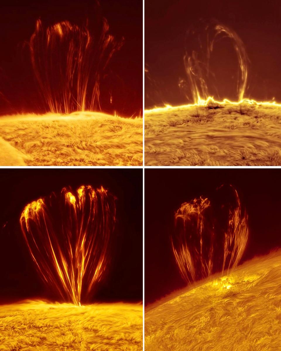Coronal Loops on the Sun