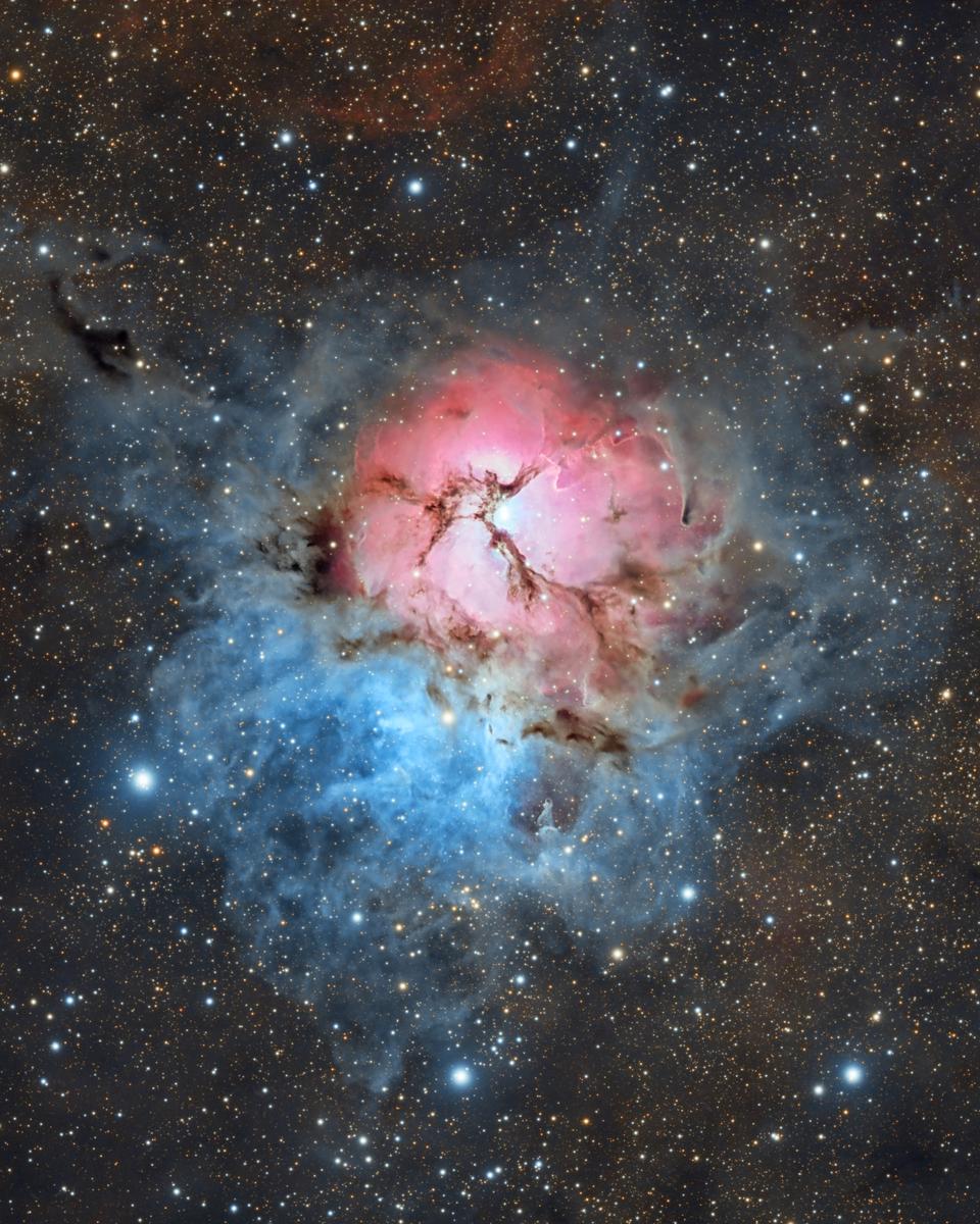 A Beautiful Trifid