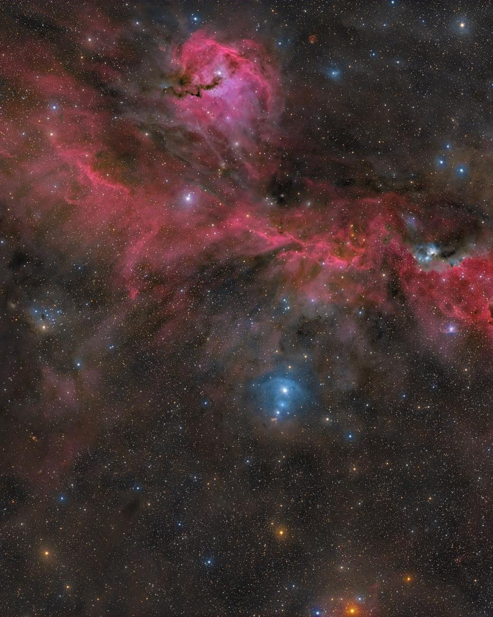 The Seagull Nebula