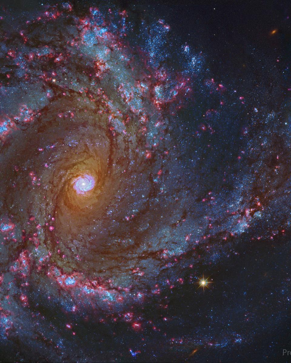 In the Center of Spiral Galaxy M61