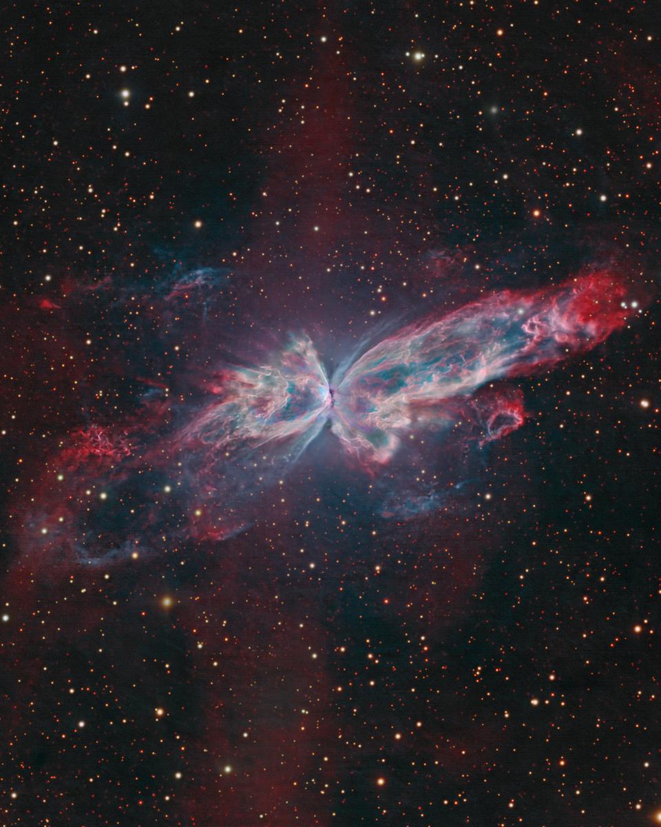 NGC 6302: The Butterfly Nebula