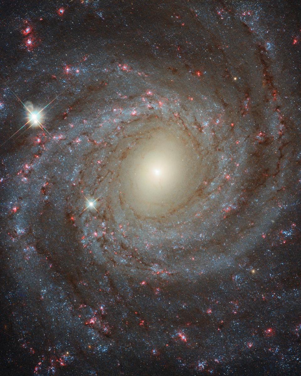 Facing NGC 3344