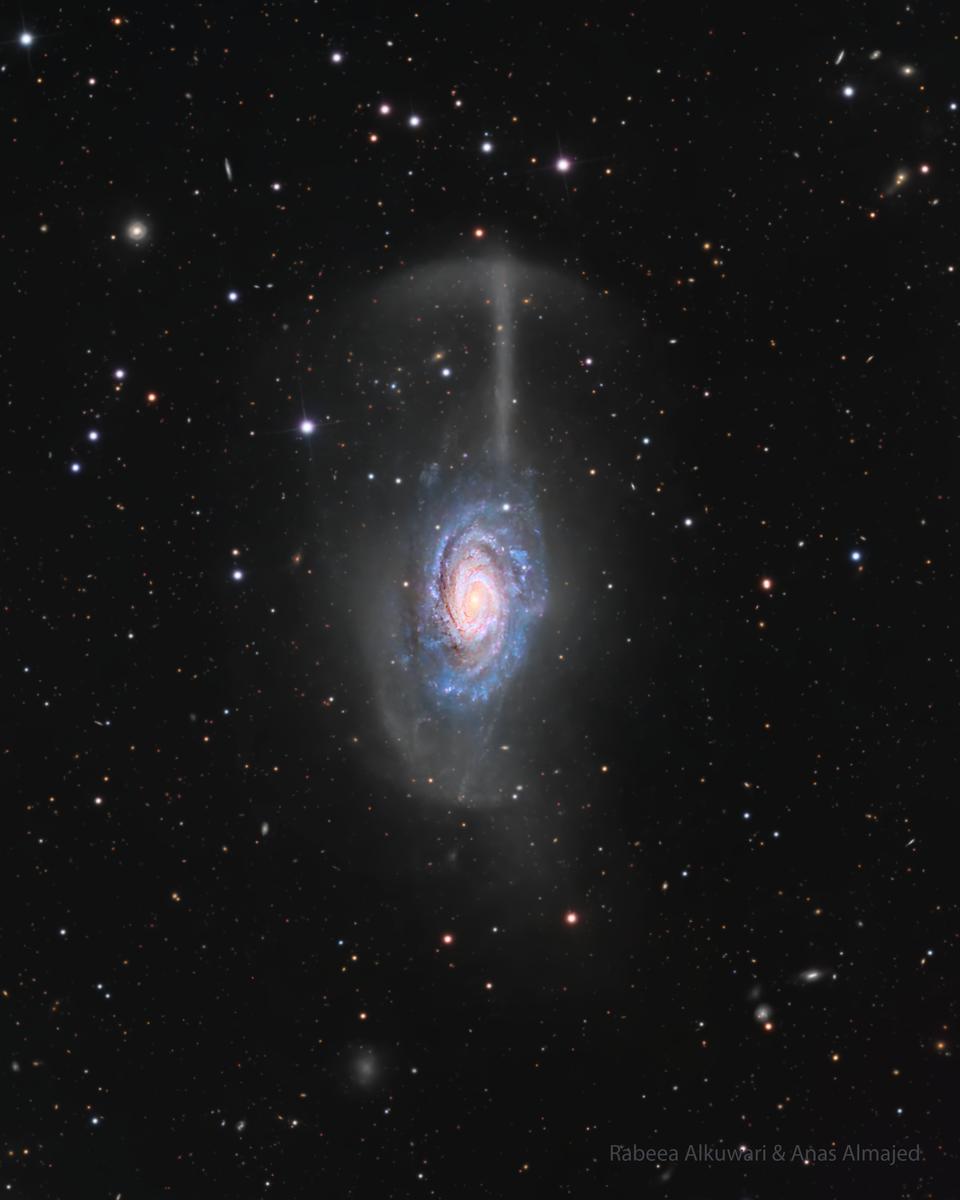 NGC 4651: The Umbrella Galaxy