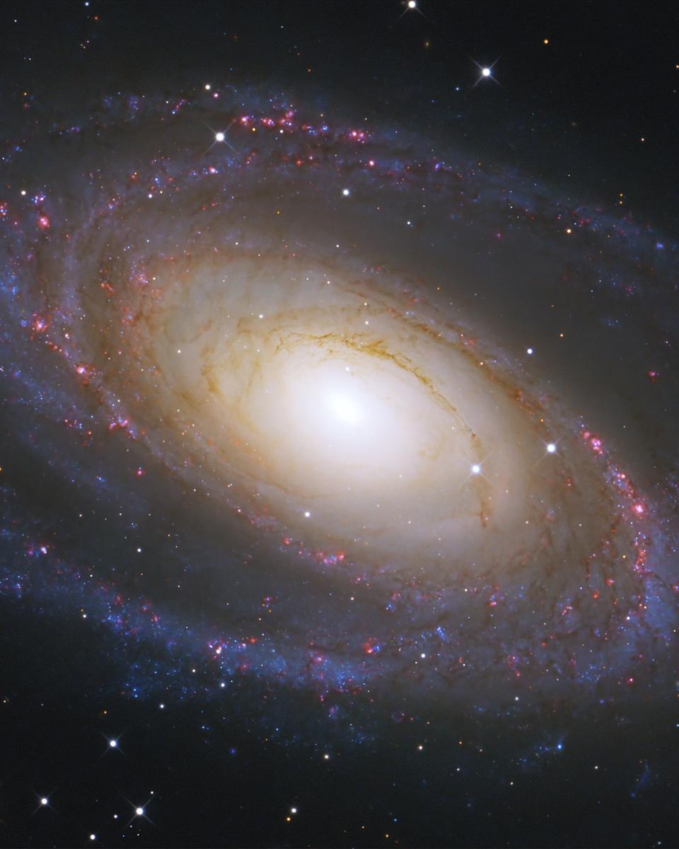 Messier 81