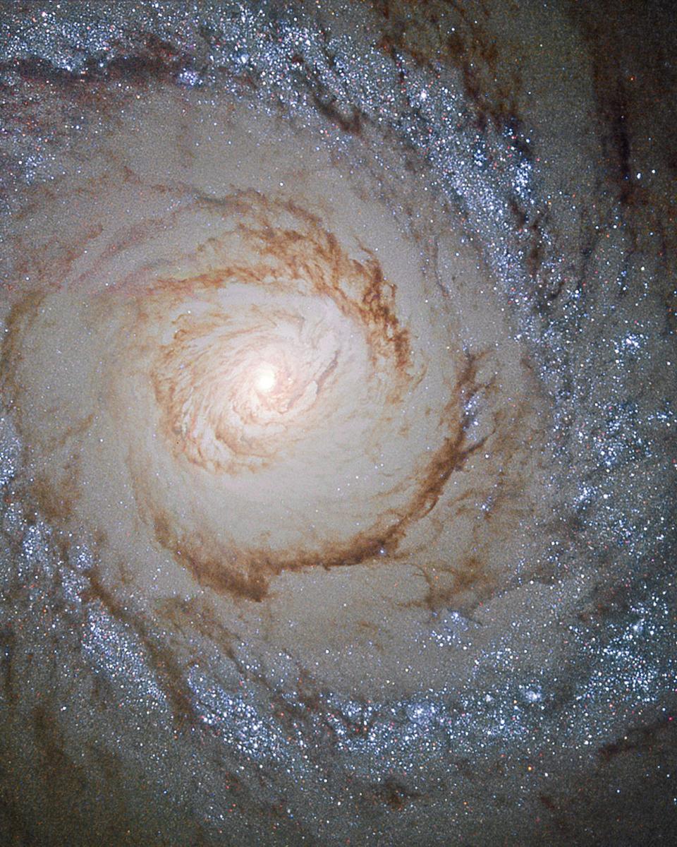 Starburst Galaxy Messier 94